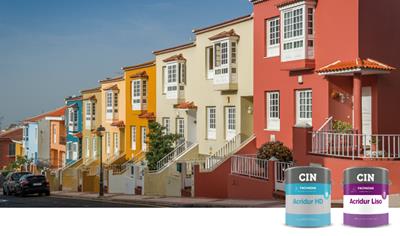 Cover image for Pinturas de exterior acrílicas y estireno-acrílicas - CIN CANARIAS
