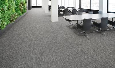 Cover image for Endure® Plus Broadloom Carpet