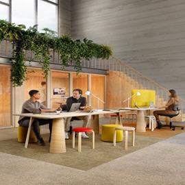 Cover image for DESSO Carpet Tiles, 100% recycled PA6 (max. 600 g/m2) + EcoBase