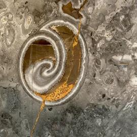 Cover image for 1m² of Billiemi "Bottarga grey" marble slab, from the Bordonaro quarry, 2 cm thick, sandblasted or polished, produced by SO.F.I.L. srl
