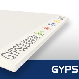 Cover image for GYPSOTECH® GYPSOLIGNUM TIPO DEFH1IR