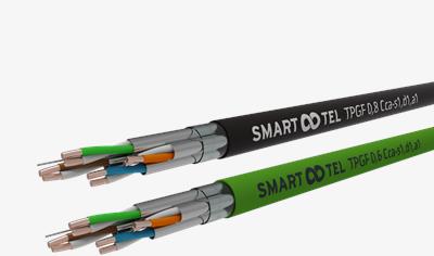 Cover image for SMART TEL TPGF (50 x 2 x 0,6)