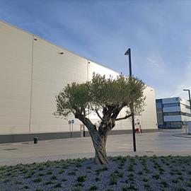 Cover image for Double skin steel faced sandwich panels with PIR (polyisocyanurate) insulation core and made of XCarb® Recycled and Renewably Produced Steel for facades.