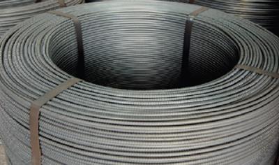 Cover image for Bar in Coil