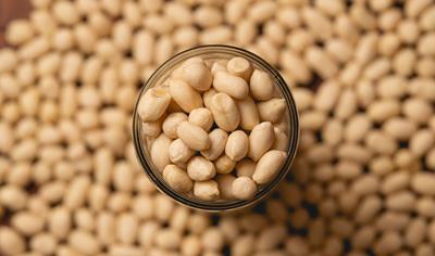 Cover image for BLANCHED PEANUT