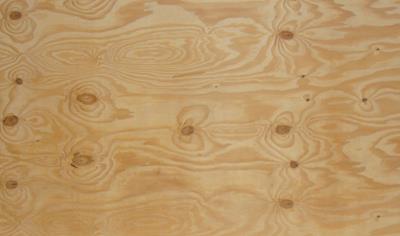 Cover image for Sudati