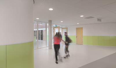 Cover image for MINERVAL A