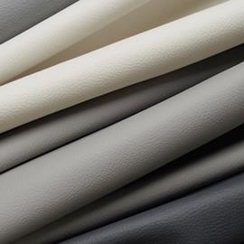 Cover image for Semi Aniline Leathers