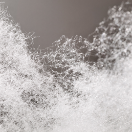 Cover image for Polypropylene staple fibres
