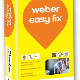 Cover image for Weber Easy Fix