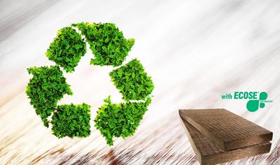 Cover image for NaturBoard FIT PLUS 