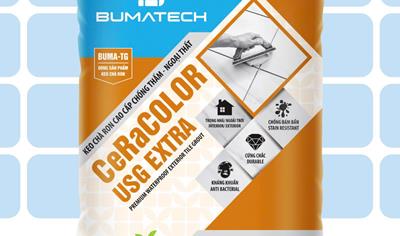 Cover image for CeRaCOLOR USG EXTRA 