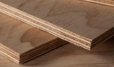 Cover image for CHH PLY Plywood