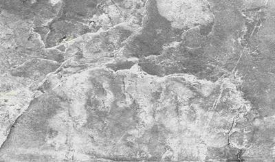 Cover image for Porcelain Tile