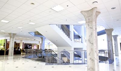Cover image for Ecophon Advantage/Plant - Acoustic ceilings