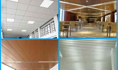 Cover image for FALSE CEILING SYSTEMS AND EXTERNAL CLADDINGS MADE OF STEEL
