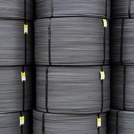 Cover image for Rebar