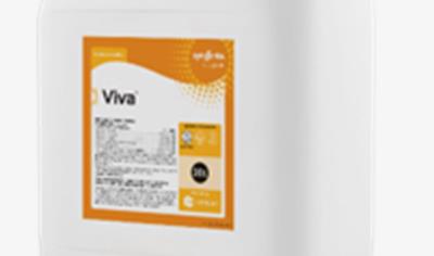 Cover image for VIVA