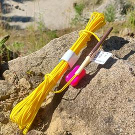 Cover image for Electronic Detonators, Austin Powder