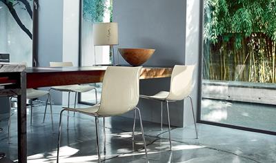 Cover image for Catifa 46