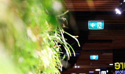 Cover image for Exit lighting