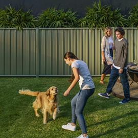Cover image for  COLORBOND® steel for fencing (fencing panels) - AM100 - BMT 0.35
