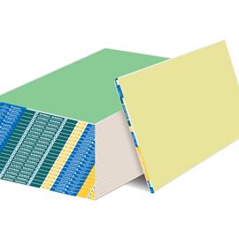 Cover image for GYPROC® Rigiroc™ 13 mm