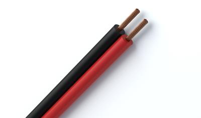 Cover image for CABLE PIATTINA