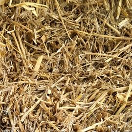 Cover image for Straw as insulation material - UK