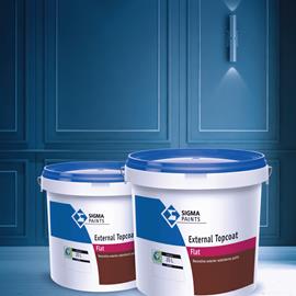 Cover image for External Top Coat 