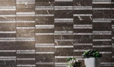 Cover image for Mosaic