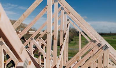 Cover image for Sawn and Planed Timber