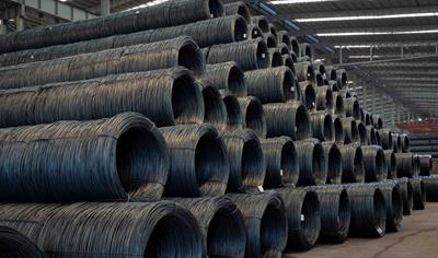 Cover image for  Wire Rod