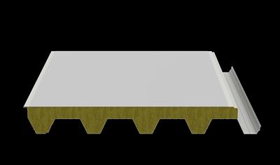 Cover image for Fortelia Flat Roof FIRE