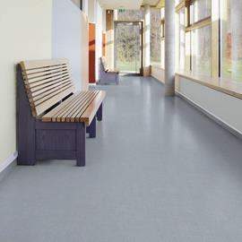 Cover image for Safety flooring - Safetred Acoustic
