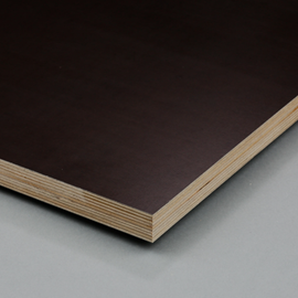 Cover image for Coated birch plywood