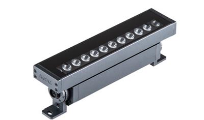 Cover image for Anolis Eminere® 1