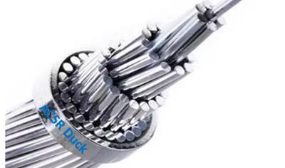 Cover image for ACSR Duck