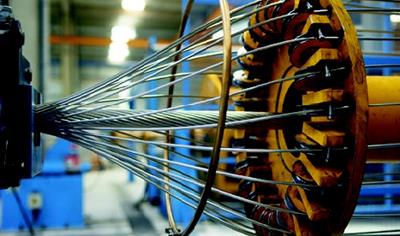 Cover image for ACSR Parrot Conductor