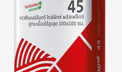 Cover image for INSEE Mortar 45 TileFlex PlusFlex