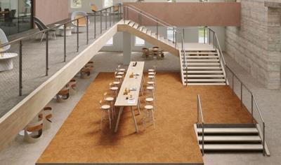 Cover image for DESSO Desert EcoBase