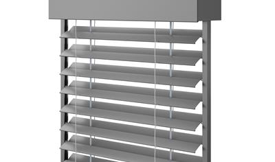 Cover image for External blind