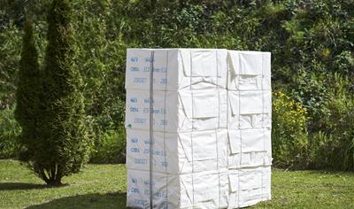 Cover image for ENCELL ECF (including Special Products)