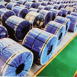 Cover image for Cold Rolled Closed Annealed Coil (Steel)