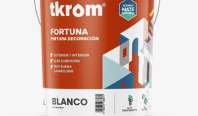 Cover image for TKROM MATE FORTUNA