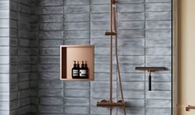 Cover image for Damixa Iris Shower Systems