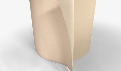 Cover image for STONEGLASS