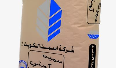 Cover image for Ordinary Portland Cement